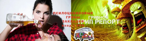 хмурый Арсеньев