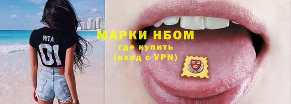 хмурый Осинники