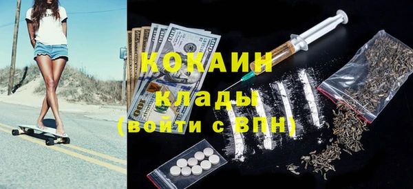 хмурый Арсеньев